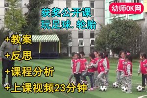 中班体育活动《小小驾驶员》公开课视频+教案+反思+课程分析(无音乐)